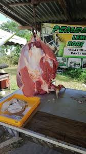 Harga kambing kurban (qurban) yang meningkat dari tahun ke tahun, hal ini tidak menyurutkan para umat islam untuk tetap menjalankan ibadah kurban yang dinilai sebagai. Daging Lembu Tempatan Pembekal Daging Lembu Tempatan Facebook
