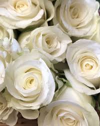 Originelle geschenke gibt es bei uns riesenauswahl an geschenkideen mit überraschungsfaktor versand in 24h jetzt vorbeischauen Ich Liebe Weisse Rosen Weisse Rosen Weisse Blumen Rosen