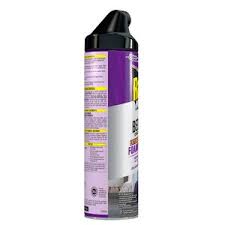 Raid Max Bed Bug Crack And Crevice Extended Protection Foaming Spray 17 5 Oz Cvs Pharmacy