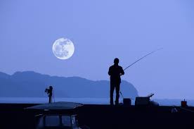 solunar fishing can moon phases help your catch rate