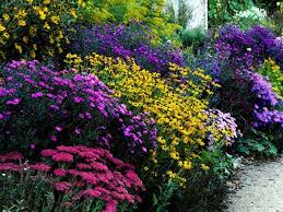 Create A Butterfly Garden Hgtv Gardens Butterfly Garden Design Garden Types Beautiful Gardens