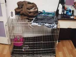 Kanak kanak yang tidak disebut namanya itu kakinya di ikat menggunakan rantai besi,lebih memilukan apabila ia di. Saya Tak Curah Air Panas Jika Dia Berkelakuan Baik
