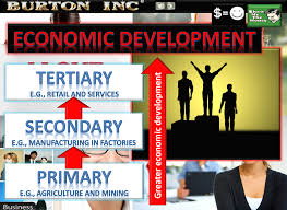 Once primary and secondary industries complete their production of goods, there are activities necessary to bring them to the consumers. Ib Business Management Introduction To Business Management Ib Business Management