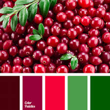 Check spelling or type a new query. Red And Green Page 2 Of 11 Color Palette Ideas