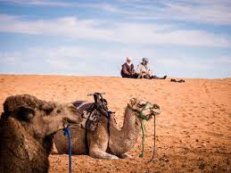 Unlike standard plans, a pay as you go plan does not require a contract. How To Plan A Desert Trip To Merzouga And Fun Things To Do In The Desert In Morocco