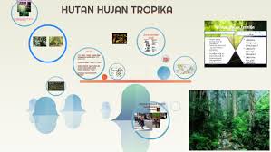 Garis khatulistiwa merupakan bentangan garis imajinasi yang membagi bumi menjadi dua belahan yang memiliki dua kutub yaitu kutub utara dan selatan. Hutan Hujan Tropika By Qhaidir Muhammad