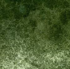 Textures 132 By Inthename Stock On Deviantart Grass Textures Photoshop Textures Watercolor Texture