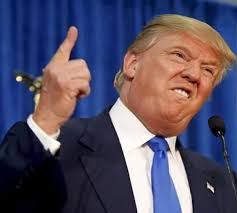 Trump to mark 80th birthday with UFC cage fight