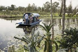 Chiapas is méxico's southernmost state, bordering guatemala. Can Food Lovers Save Mexico City S Nutrient Rich Islands And The Farmers Who Toil Here Los Angeles Times