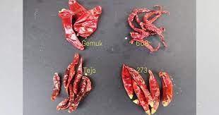 Masukkan gula sebelum sambal pecah minyak. Jenis Cili Kering Ini Penentu Masakan Ekstra Pedas Atau Tak Pedas Baru Senang Pilih Pa Ma