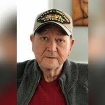 Joe Stevie "Steve" Dellinger Obituary