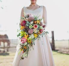 1000+ designs at your finger tips. In Bloom Proteas Nouba Com Au In Bloom Proteas