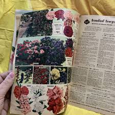 Image result for Green 1961 Montgomery Ward