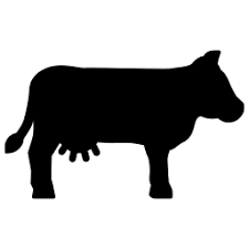 Cows Farming Simulator 19 Farming Simulator Wiki Fandom