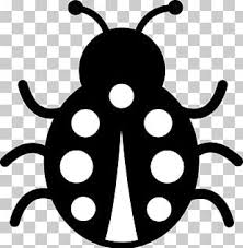 Ladybug Drawing Png Images Ladybug Drawing Clipart Free Download Choose your favorite ladybug drawings from millions of available designs. ladybug drawing png images ladybug