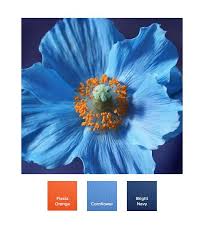 Https Kettlewellcolours Global Ssl Fastly Net Usercontent Img Col 24 55295 Jpg Spring Colors Color Spring Palette