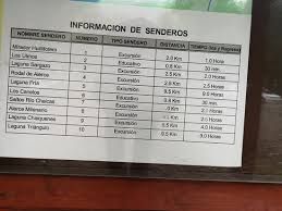 Parque Nacional Alerce Andino Puerto Montt 2021 Que Saber Antes De Ir Lo Mas Comentado Por La Gente Tripadvisor