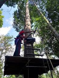 Skytrex adventure shah alam harga. Skytrex Adventure Shah Alam 2021 All You Need To Know Before You Go With Photos Shah Alam Malaysia Tripadvisor