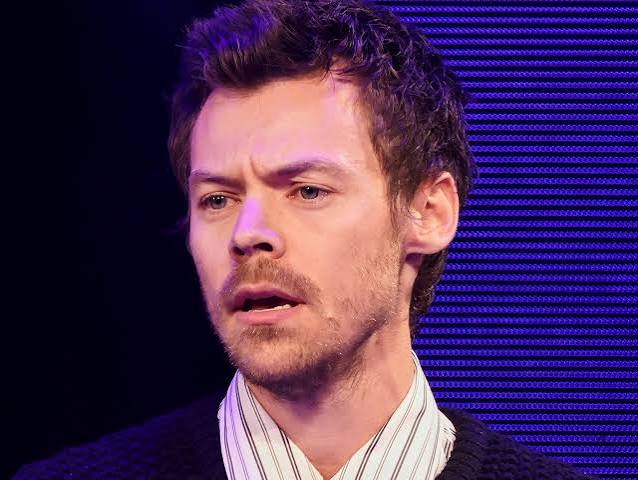 Harry Styles Seems Concerned After Fan Ditches Baby To Beg for Photo