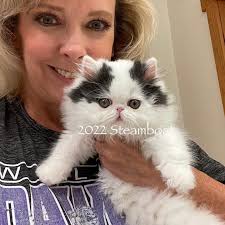 I love his sweet face! 🥰🥰 Almost as much as my husband's 😂