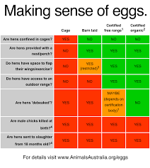 veggieful com au vegan recipes and life egg substitutes