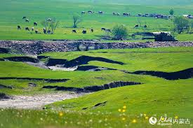 内蒙古呼伦贝尔：夏日草原牧歌悠长- 产业- 人民财经网