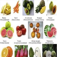 Vegetables that lower blood sugar levels. Tropical Fruits And Vegetables On Twitter Health Benefits 1 Rich In Nutrients 2 May Help Reduce Blood Pressure 3 Contains Nutrients Vital To Bone Health 4 May Improve Blood Sugar Control 5