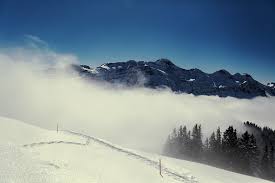 Cours napoleon or a paris en euros même si un gramme vaut un millième de la masse du kilogramme, 1 gramme d'or reste valeureux (retrouvez le prix de l'or au kilo sur cette page). Napoleon S Nightmare