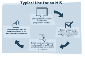 Minimally invasive surgery, surgical techniques with limited incision sizes. What Is An Mis Management Information Systems Explained Cognisoft