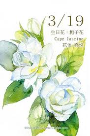 每日一花3 19 生日花 haru hello watercolor flowers flower drawing watercolor plants