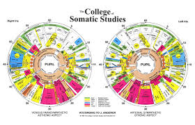 41 Rigorous Iris Diagnosis Chart