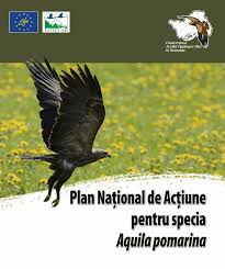 Oug 57 2007 actualizata 2011 pdf. Pdf Plan NaÈ›ional De AcÈ›iune Pentru Specia Aquila Pomarina