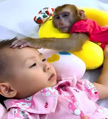 Happy New Year Wishes from Mina Starsiak Hawk and Karen Laine