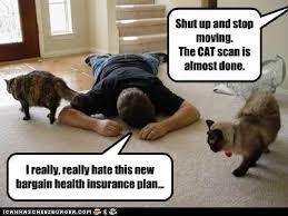 The New Ct Scan Hehe For Those Of You Who Wonder What I Really Do At Work Health Insurance Plans Radiology Humor Cat Scan