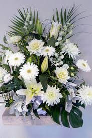 Send flowers to hospital sydney. Aangela S Florist Delivery Local Florist Kogarah St George Hospital Sydney Cbd