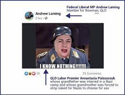 Your feedback is important to us. Andy Fleming On Twitter Auspol Tory Mp Andrew Laming Shared A Dank Meme About Qld Premier Annastacia Palaszczuk Then Thought Beta Of It ãƒ„ Https T Co Cpl3a9siw3