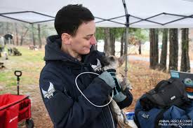 Rescue day is the first day of the rest of their lives. 🐾💙🐾  #operationdownpour