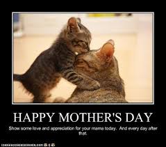 The night before mother's day from funny. Funny Mothers Day Quotes Quotesgram