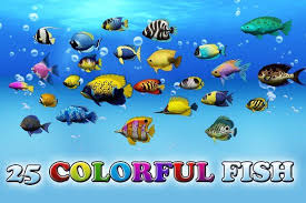 3d Animal Models Colorful Sea Fish Sea Fish Colorful Fish All Fish