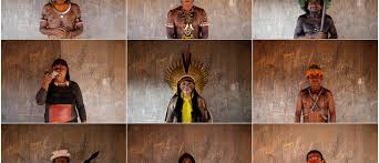 See more of indigenous on facebook. To Preserve Biodiversity Indigenous People Must Be Protected World Economic Forum