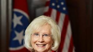 Wilson County election 2018: Candidate profiles