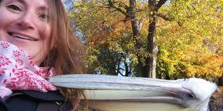 Birds with threatening auras