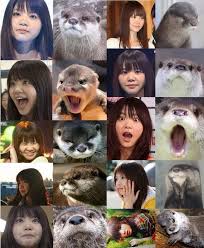 あしびきの 山鳥の尾の しだり尾の ながながし夜を ひとりかも寝む. 28 Ikimonogakari Ideas Jpop Music Like Japan Lifestyle