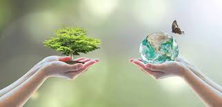 What values drive environmental policy? Science And China Forum On China S Environmental Protection 04 19 2015 Martian Science