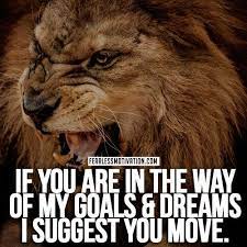 Pin On The Lioness La Leona