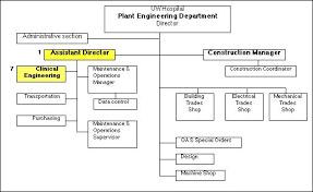 organization chart of hospital ward bedowntowndaytona com