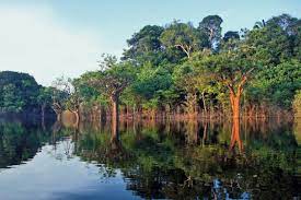 Hospital san rafel de leticia. Amazonas Der Wassereichste Fluss Der Welt
