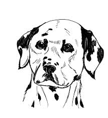 Dogs/puppys, baby pup, new born puppys, pupy, pretty pups, cute puppies, puppy pagecool dogs, dogs to colour and very detailed, coulor in dogs, doghs, outline. Dalmatian Fire Dog Coloring Pages Kids Play Color