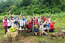 Volunteering At Elephant Nature Park And Our Other Projects Elephant Nature Park