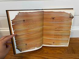 Image result for Brown 1968 Fleet